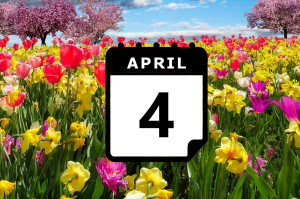 Where's hot in April? - Preview