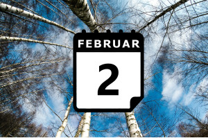 Where's hot in February? - Preview