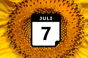 Where's hot in July? - Preview