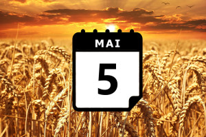 Where's hot in May? - Preview