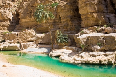 visit oman in january