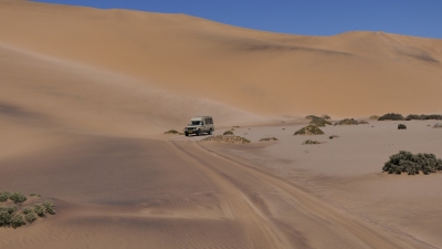 Namib (Alexander Mirschel)  Copyright 
License Information available under 'Proof of Image Sources'