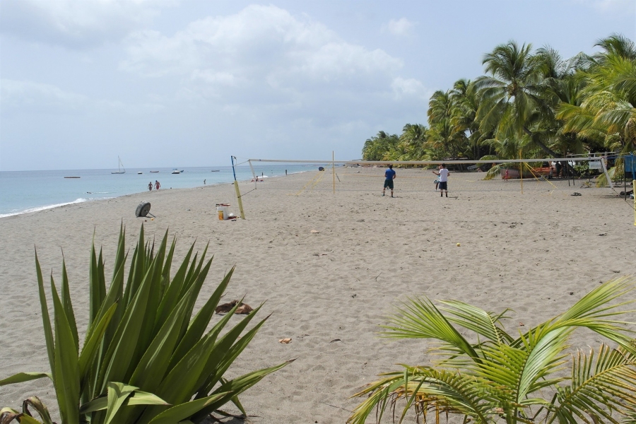 Martinique Climate Chart