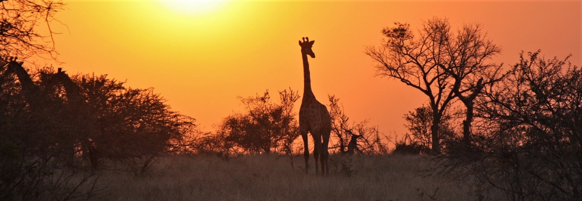 Kruger Park Distance Chart