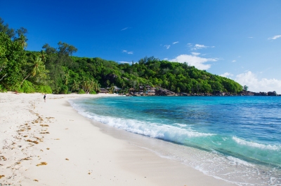 Anse Takamaka, Mahé, Seychelles (Jean-Marie Hullot)  [flickr.com]  CC BY 
License Information available under 'Proof of Image Sources'