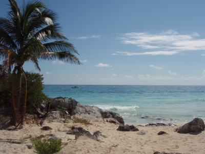 Beach (Christine Rondeau)  [flickr.com]  CC BY 
License Information available under 'Proof of Image Sources'