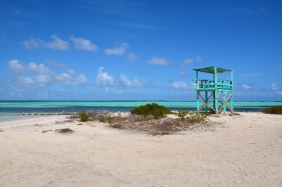 Coast at Lac Bai (Bonaire 2014) (Paul Arps)  [flickr.com]  CC BY 
License Information available under 'Proof of Image Sources'