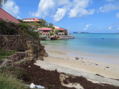 Preview: Best Time to Travel Saint-Barthélemy