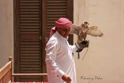 Falconry, Doha, Qatar. (Jan Smith)  [flickr.com]  CC BY 
License Information available under 'Proof of Image Sources'