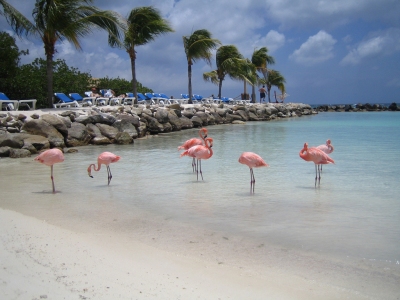 Climate Information Aruba