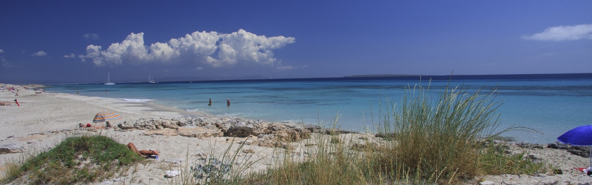 Formentera (Peter Fleskes)  [flickr.com]  CC BY-ND 
License Information available under 'Proof of Image Sources'