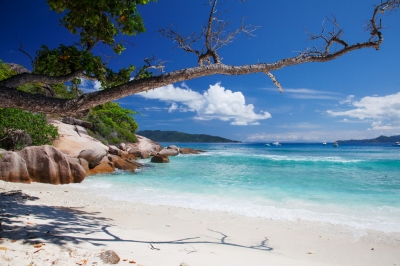 Grande Soeur, a small island  near La Digue, Seychelles (Jean-Marie Hullot)  [flickr.com]  CC BY 
License Information available under 'Proof of Image Sources'