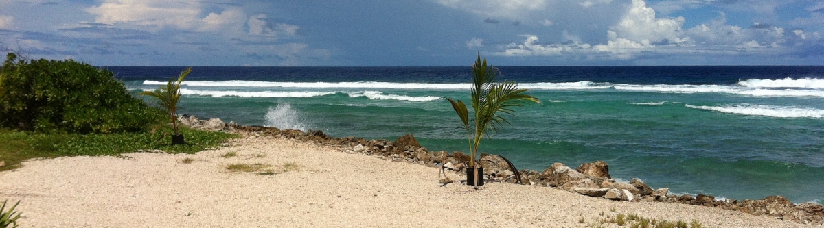 Best Time to Visit Nauru (Climate Chart Table)