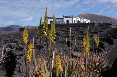 Preview: Best Time to Travel Lanzarote