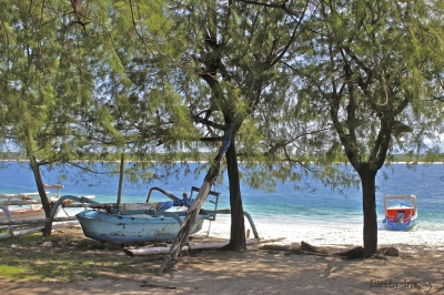 Lombok, Indonesia (Ivetta Inaray)  [flickr.com]  CC BY 
License Information available under 'Proof of Image Sources'