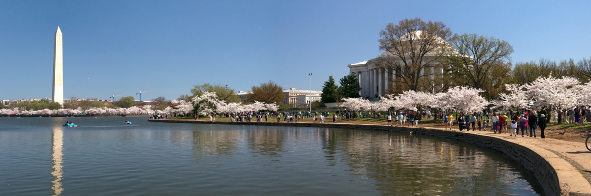 Washington Dc Climate Chart