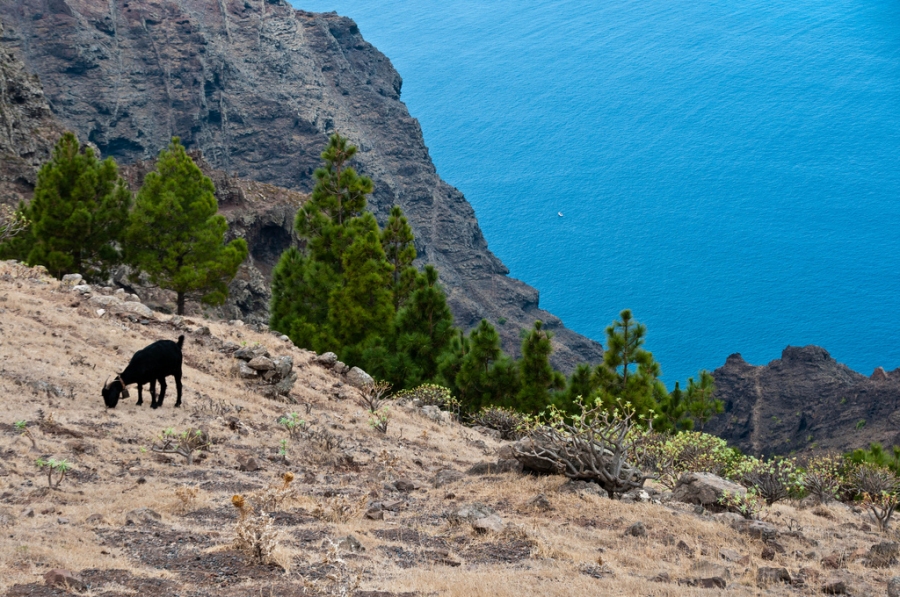 La Gomera - Wikipedia