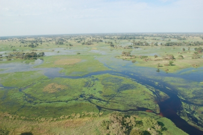 Okavango Delta, Botswana (Joachim Huber)  [flickr.com]  CC BY-SA 
License Information available under 'Proof of Image Sources'