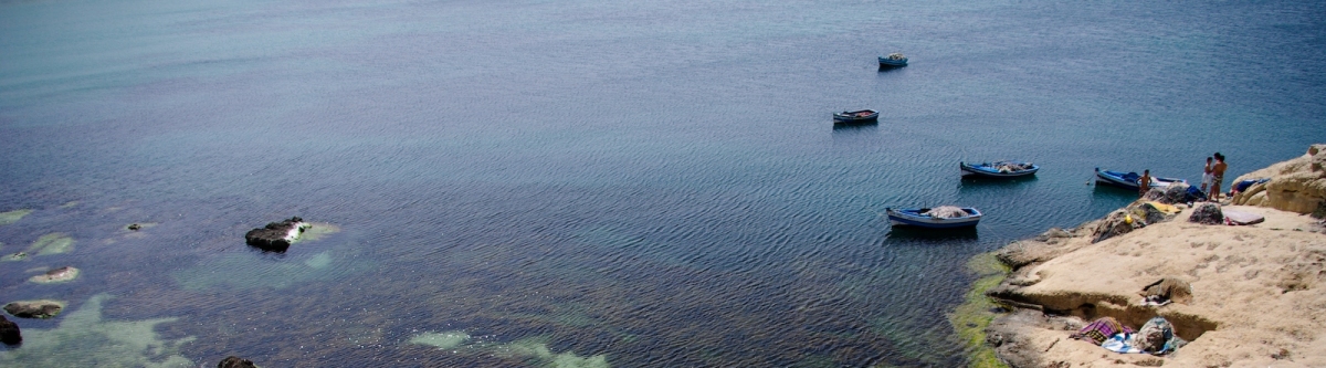 On the shore (Eugenijus Radlinskas)  [flickr.com]  CC BY 
License Information available under 'Proof of Image Sources'