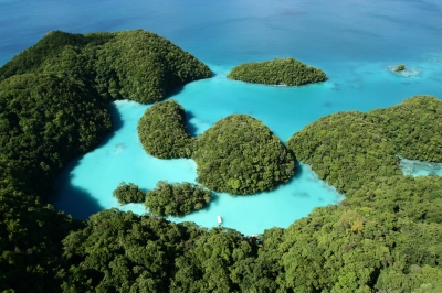 Preview: Best Time to Travel Palau