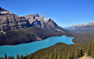 Peyto Lake / Canada (Eric Bauer)  [flickr.com]  CC BY-SA 
License Information available under 'Proof of Image Sources'