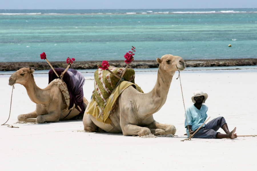 Best Time To Visit Diani Beach Climate Chart And Table