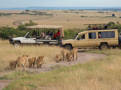 Preview: Best Time to Travel Serengeti