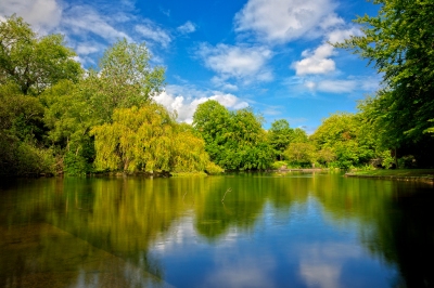 Saint Stephen's Green - HDR (Nicolas Raymond)  [flickr.com]  CC BY 
License Information available under 'Proof of Image Sources'