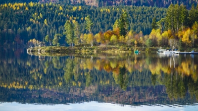 Schluchsee in autumn - Black Forrest, Germany (Manuel Paul)  [flickr.com]  CC BY-ND 
License Information available under 'Proof of Image Sources'