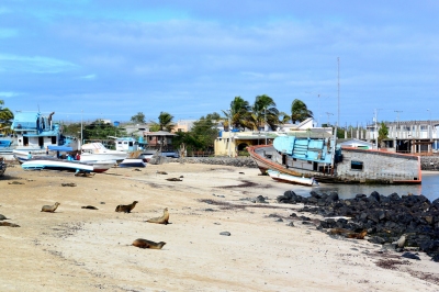 Ship aground on the beach of of Puerto Baquerizo Moreno on San Cristobal Island in the Galapagos Islands (John Solaro (sooolaro))  [flickr.com]  CC BY-ND 
License Information available under 'Proof of Image Sources'