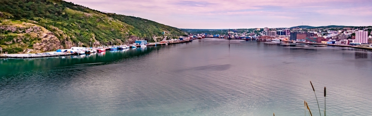 St John Harbour Newfoundland (Michel Rathwell)  [flickr.com]  CC BY 
License Information available under 'Proof of Image Sources'