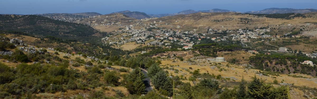The Chouf Reserve, Lebanon (objectivised)  [flickr.com]  CC BY 
License Information available under 'Proof of Image Sources'