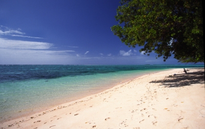 Preview: Best Time to Travel Marshall Islands