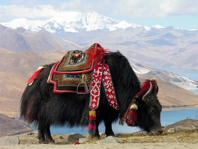 Preview: Best Time to Travel Tibet