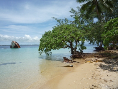 Tonga/Samoa Feb 2009 (Sarah Kelemen Garber)  [flickr.com]  CC BY 
License Information available under 'Proof of Image Sources'