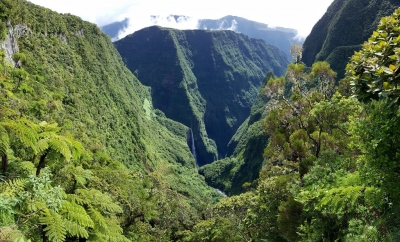 Preview: Best Time to Travel La Réunion