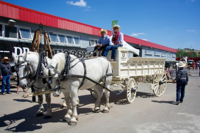 Climate Information Calgary