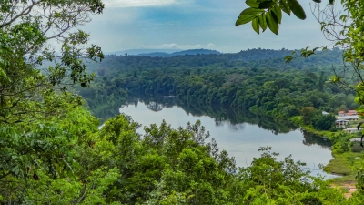 View of the Suriname river from the Blauwe Berg, or Blue Mountain, on the former Berg en Dal plantation (-JvL-)  [flickr.com]  CC BY 
License Information available under 'Proof of Image Sources'