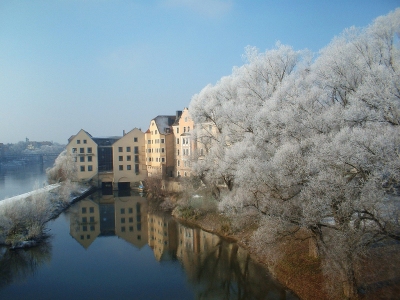 Preview: Best Time to Travel Bavarian Forest