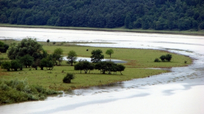 Zbrucz River (Leszek Kozlowski)  [flickr.com]  CC BY 
License Information available under 'Proof of Image Sources'